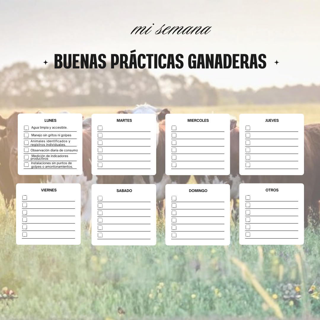 Formato Semanal Reto B-GOR para seguimiento de buenas prácticas ganaderas