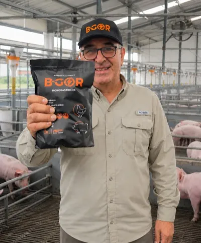 Productor con B-GOR Monogástricos en granja porcina
