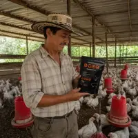 Porcicultor colombiano con B-GOR