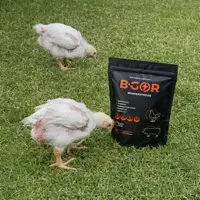Avicultor colombiano B-GOR