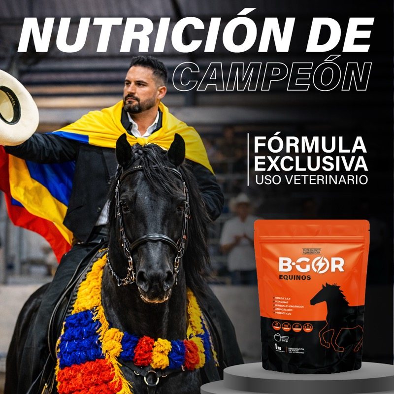 Nutrición de Campeón - B-GOR Equinos Fórmula Exclusiva Uso Veterinario